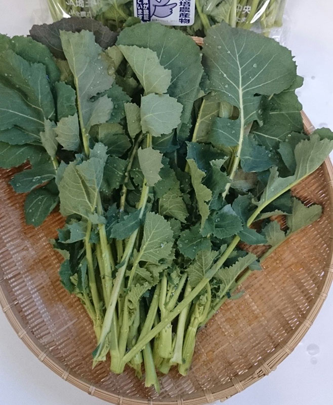 埼玉県の伝統野菜「のらぼう菜」「埼玉青大丸なす」